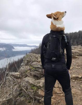 Прикрепленное изображение: Природа-горы-прогулка-человек-4971524.jpeg